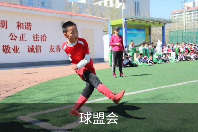球盟会公司介绍